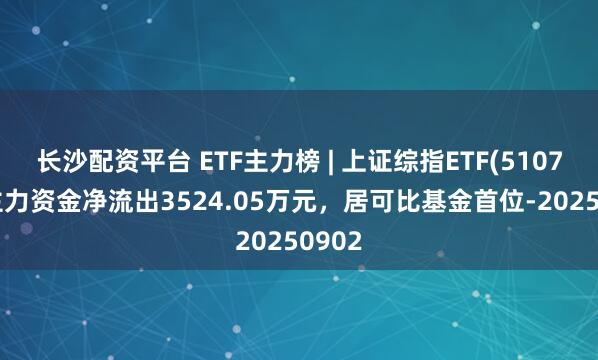 长沙配资平台 ETF主力榜 | 上证综指ETF(510760)主力资金净流出3524.05万元，居可比基金首位-20250902