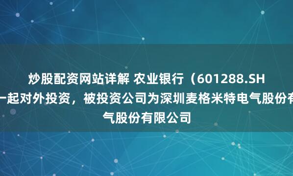 炒股配资网站详解 农业银行（601288.SH）新增一起对外投资，被投资公司为深圳麦格米特电气股份有限公司