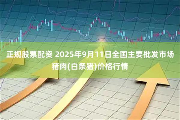 正规股票配资 2025年9月11日全国主要批发市场猪肉(白条猪)价格行情